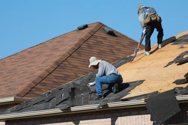 Reliable Trenton, GA Roofing service Solutions