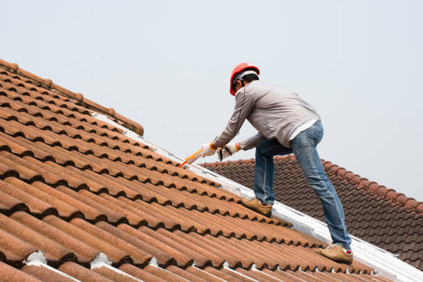 Best Emergency Roof Repair Services  in Trenton, GA