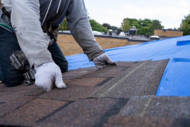 Best Emergency Roof Repair Services  in Trenton, GA